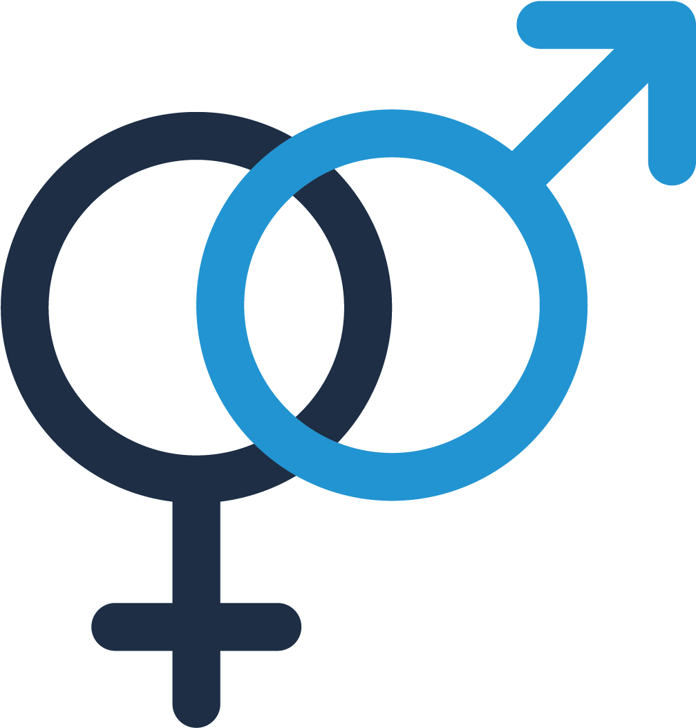 Download Hd Gender Inequalities Empowering Women And Providing Gender Equality Icons Transparent Png Image Nicepng Com