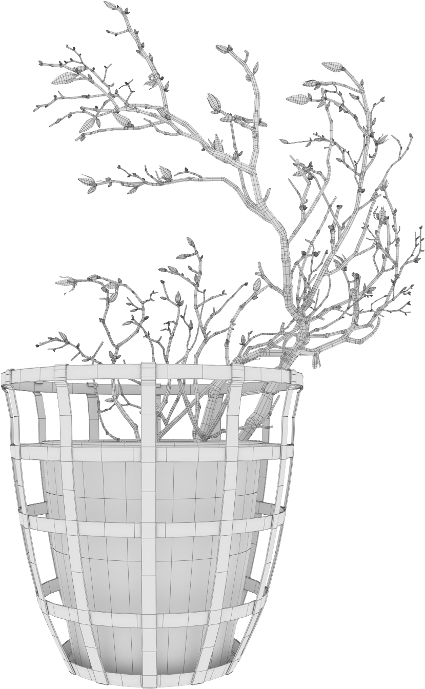 Magnolia 03 - Flowerpot (1400x1400), Png Download