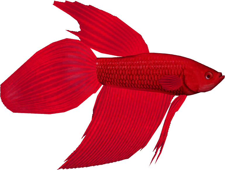 Bony-fish (806x806), Png Download