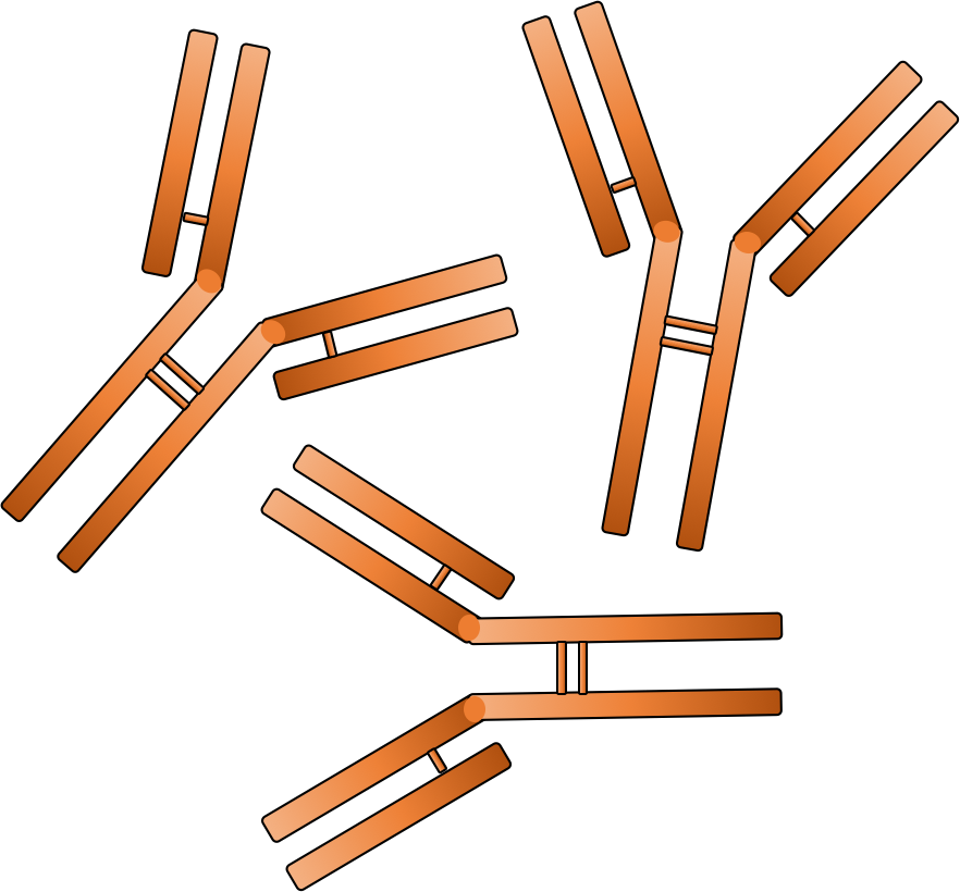 Rabbit Monoclonal Antibody Service - Antibody Clip Art (882x820), Png Download
