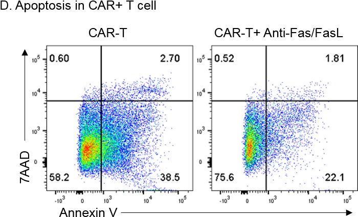 Block/neutralize Human Fas Ligand/tnfsf6 Antibody Mab126 - Diagram (718x462), Png Download