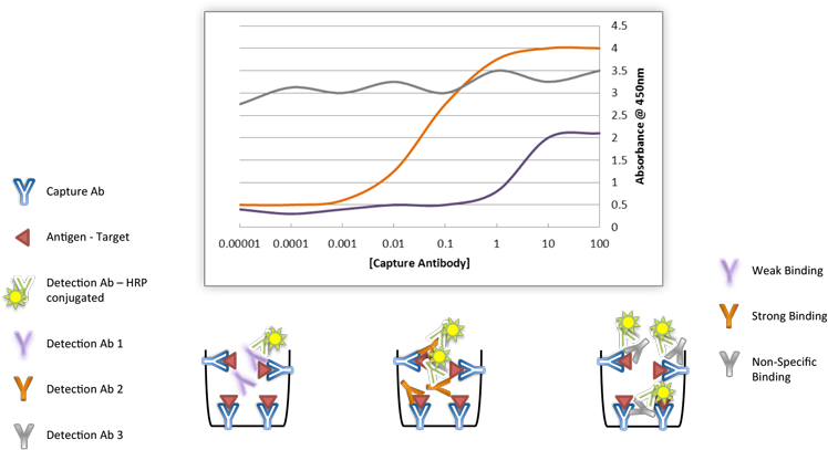 Assay Binding Performance - Cartoon (800x439), Png Download