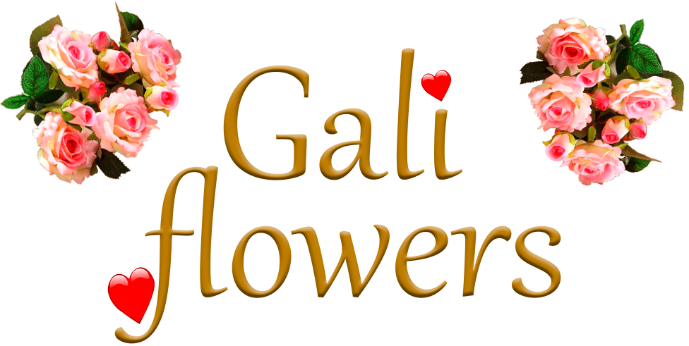 Galiflowers (976x491), Png Download