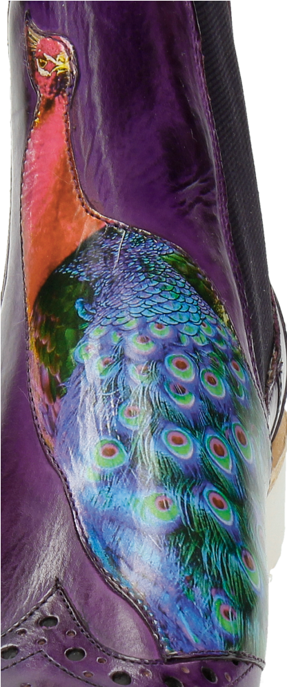 Ankle Boots Amelie 44 Purple Flame Peacock Bee - Vase (1024x1024), Png Download