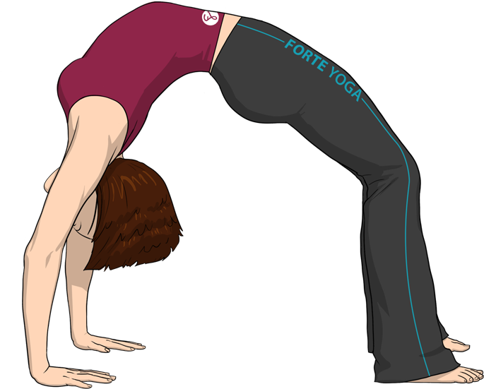 Upward Bow Yoga Pose Or Wheel Pose - Stretching (900x675), Png Download