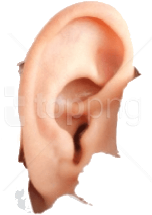 Download Human Ear Png Images Background - Hyperacusis Ear Plugs (850x563), Png Download