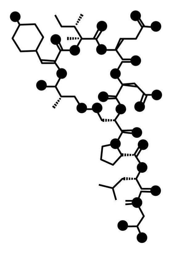 Atomdeep Tattoos Pinterest - Circle (744x1052), Png Download