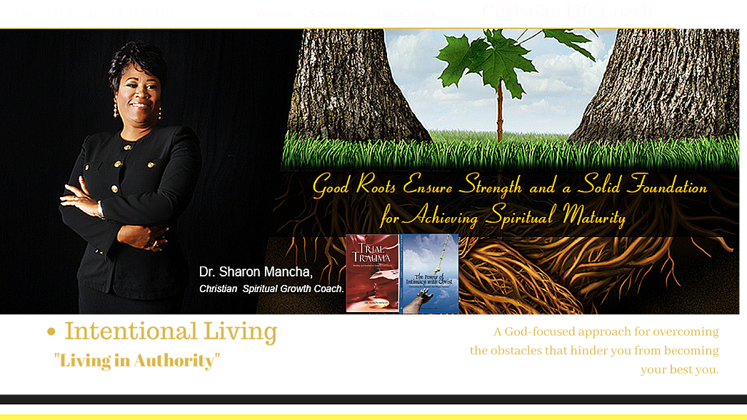 Mancha Intentional Living - پروفایل برای روز درختکاری (1046x588), Png Download