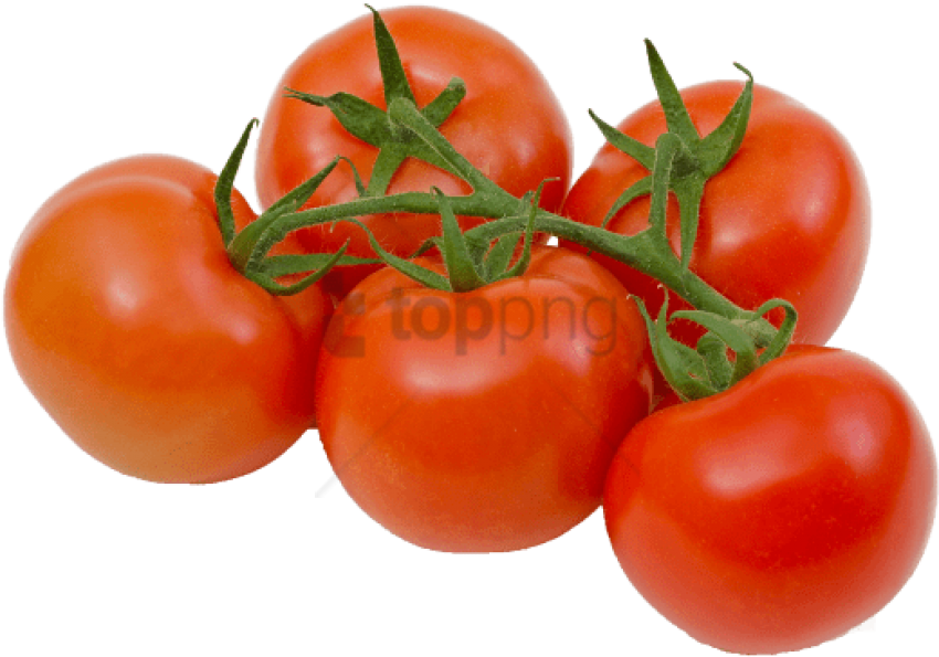 Free Png Tomatoes On The Vine Transparent Png Image - Tomatoes On The Vine Png (850x595), Png Download