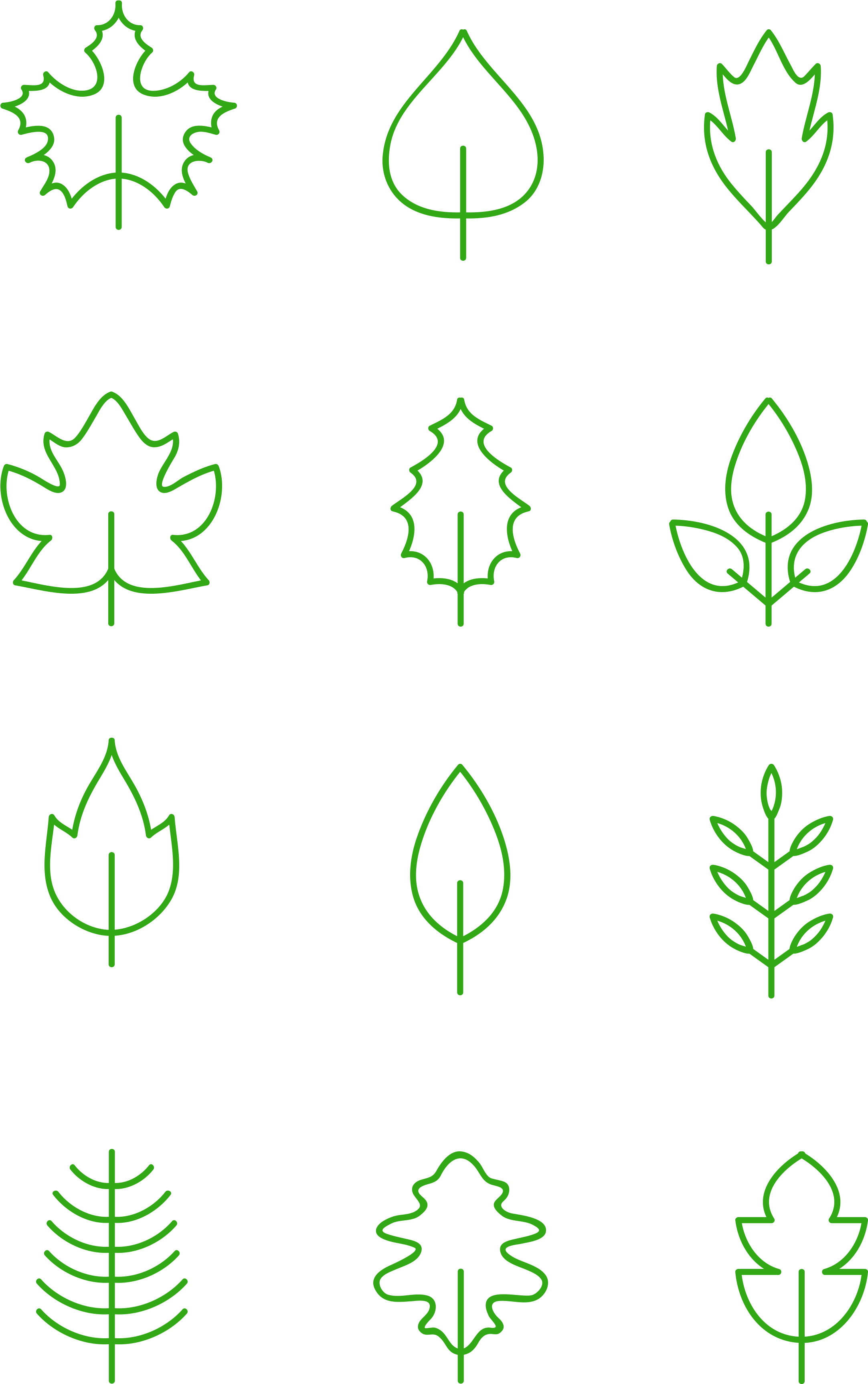 Foglie Disegnati A Mano Elementi Decorativi Minimalisti - Parallel (3072x4107), Png Download
