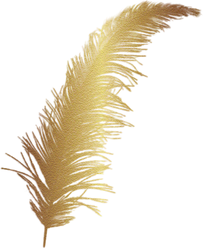 #feather #gold #accent #decal - Pluma De Oro Png (1024x1024), Png Download