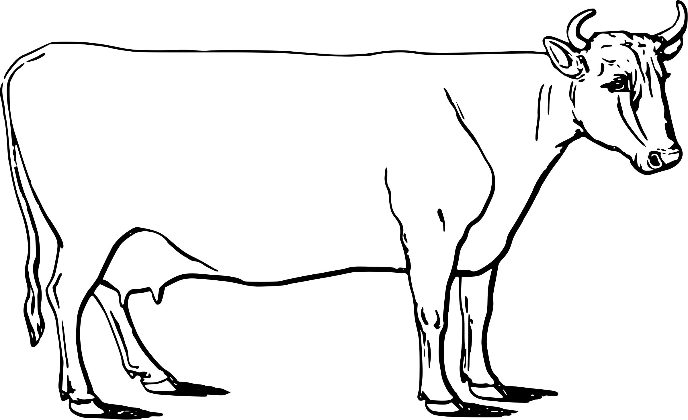 This Free Icons Png Design Of Ayrshire Cow (2400x1465), Png Download