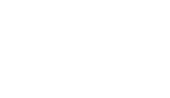 Wicklow Partnership Title - Tiff Logo White (800x412), Png Download