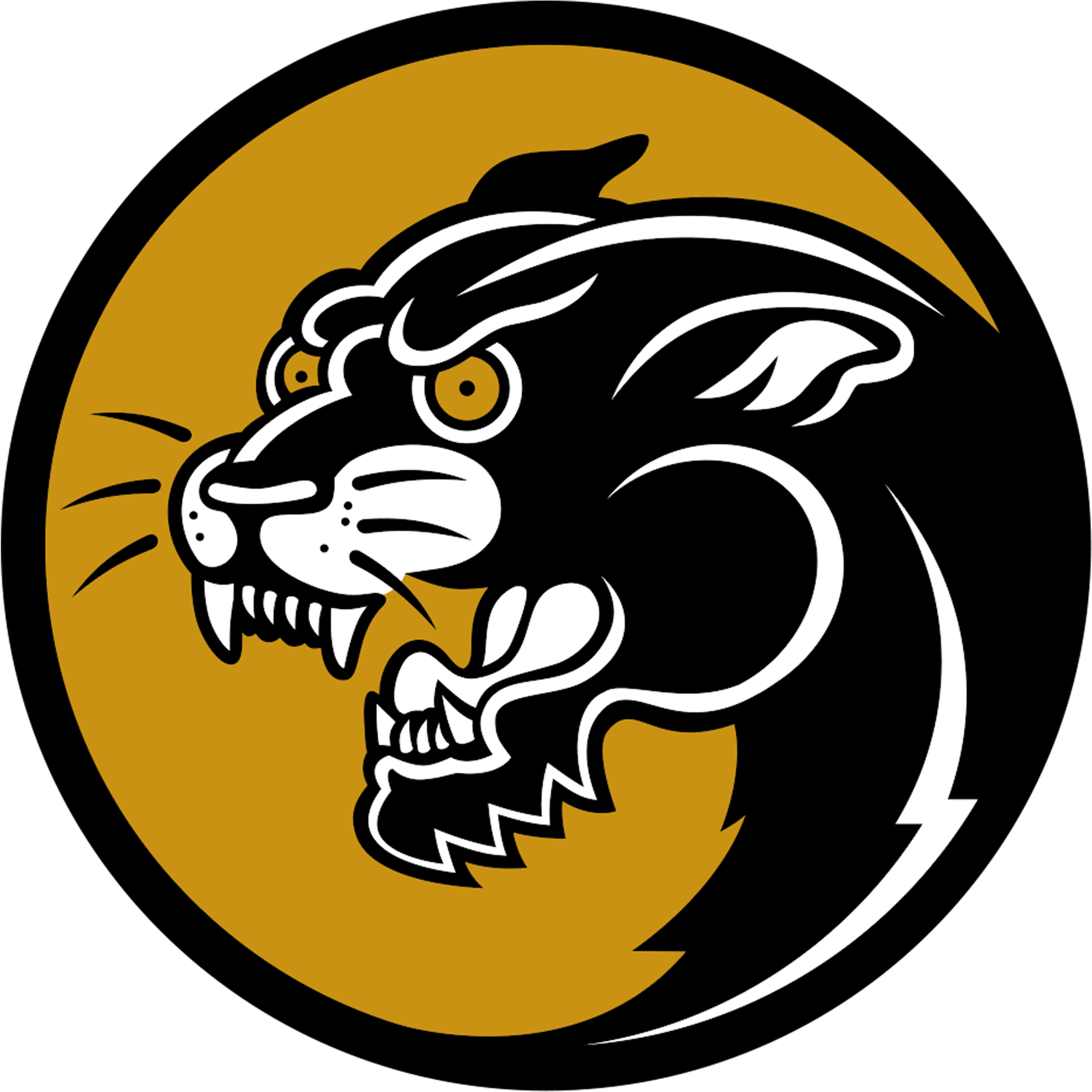 Merchandising - Logo Black Cat (2500x2500), Png Download