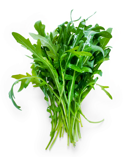 Cress - Arugula (866x650), Png Download