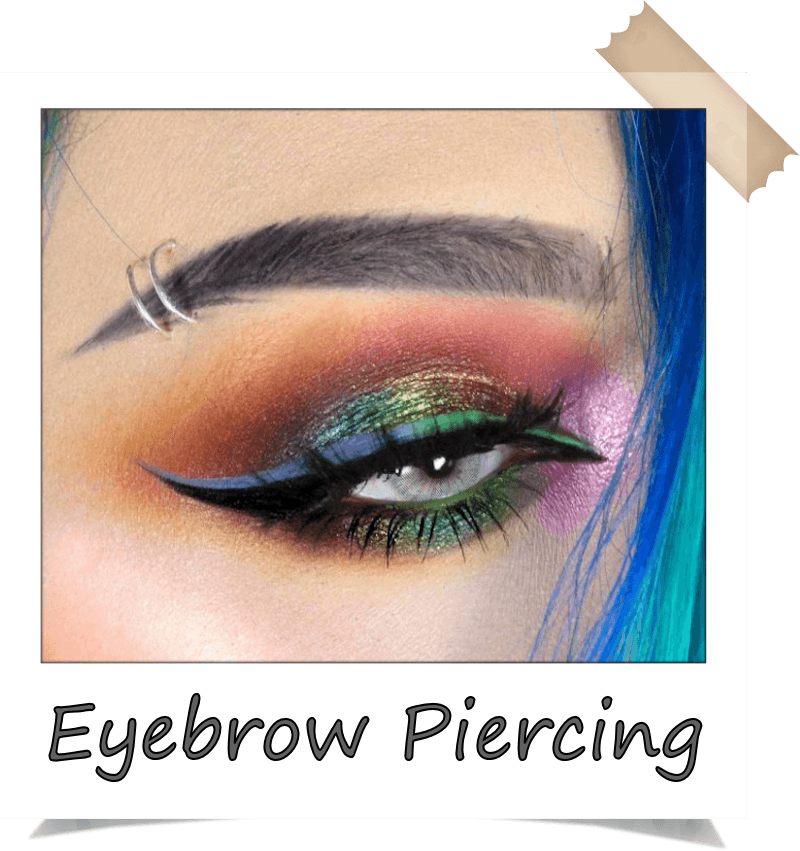 Gallery - Eyebrow Piercing (800x851), Png Download