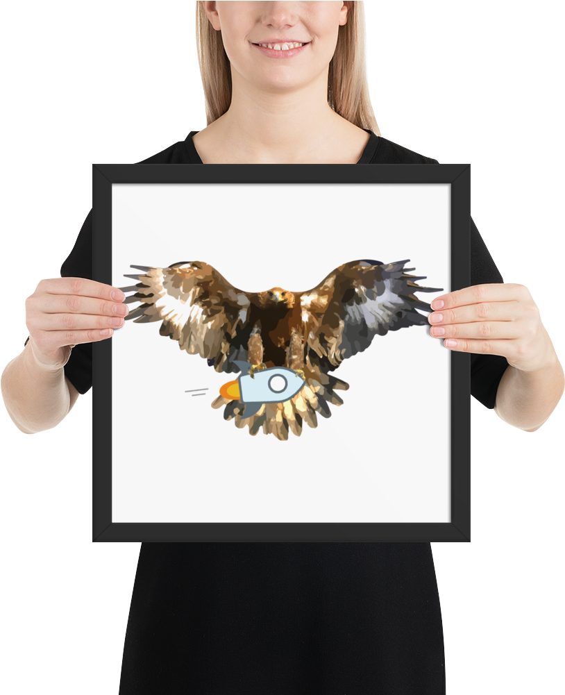 Framed Stellar Bald Eagle Poster - Poster (1000x1000), Png Download