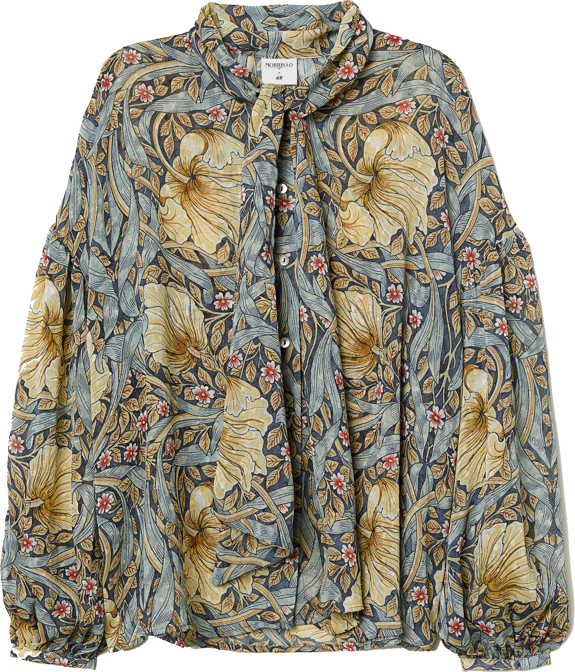 Shop Now - William Morris H&m Blouse (2333x3500), Png Download