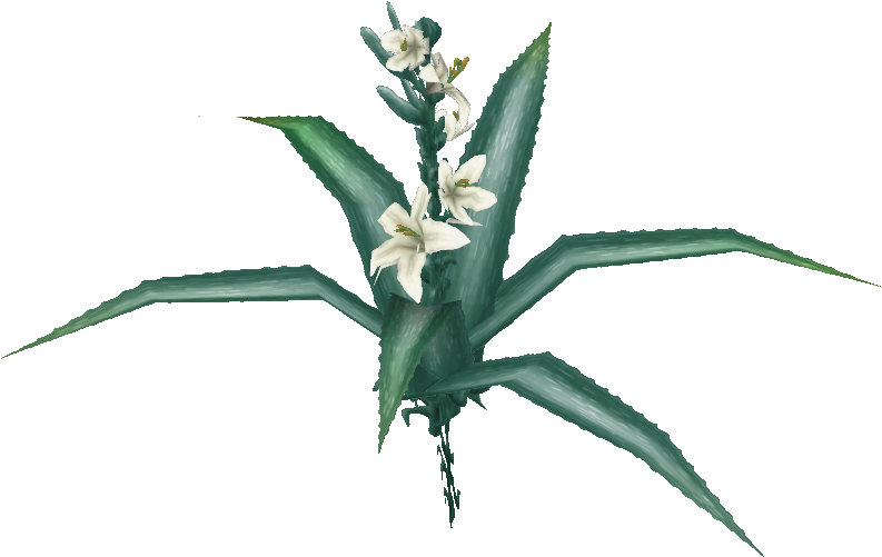 Desert Lily - Illustration (792x792), Png Download