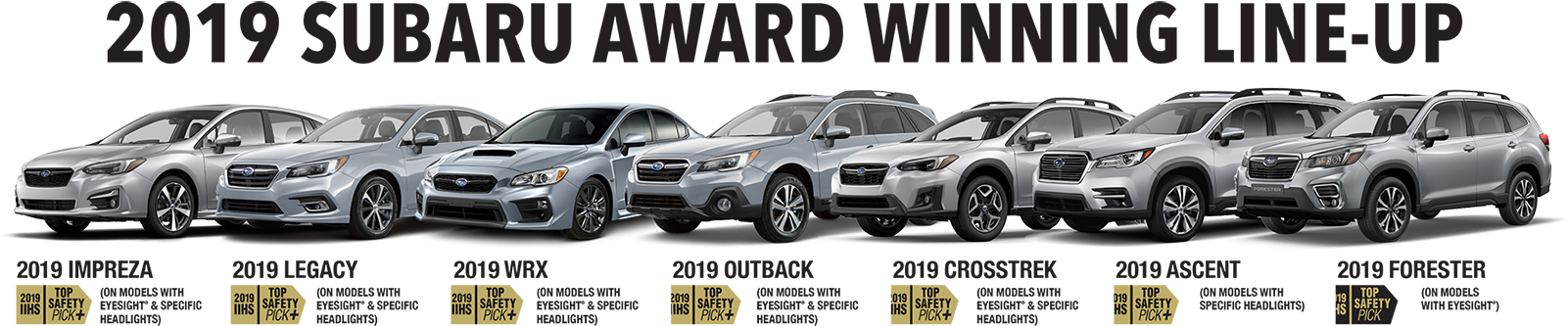 Our Title Sponsor - Compact Sport Utility Vehicle (1600x363), Png Download