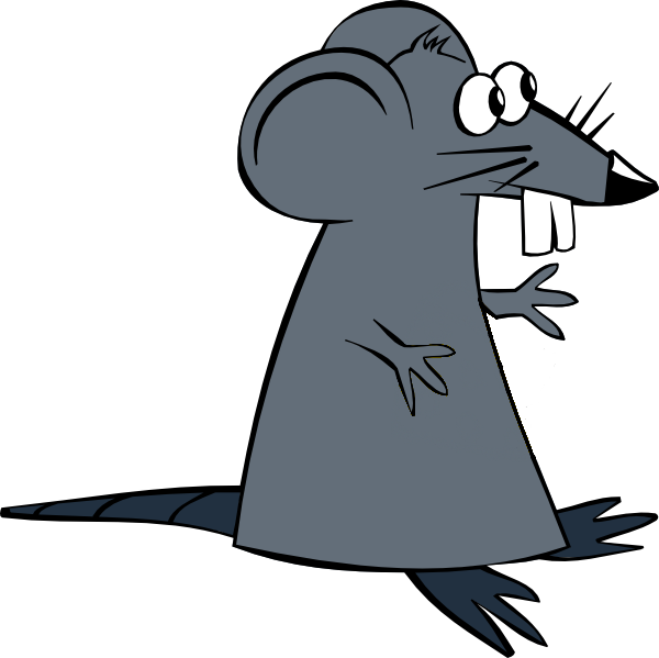 Rat Image - Rat Clip Art Transparent (600x599), Png Download