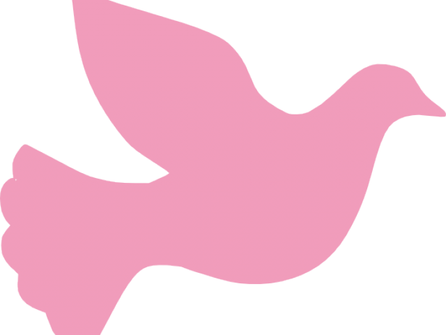 Peace Dove Clipart Vigil - Illustration (640x480), Png Download