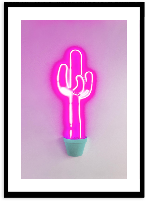 Neon Cactus - Cactus (800x997), Png Download