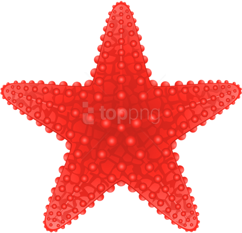 Free Png Download Starfish Transparent Clipart Png - Starfish Clip Art Png (850x814), Png Download