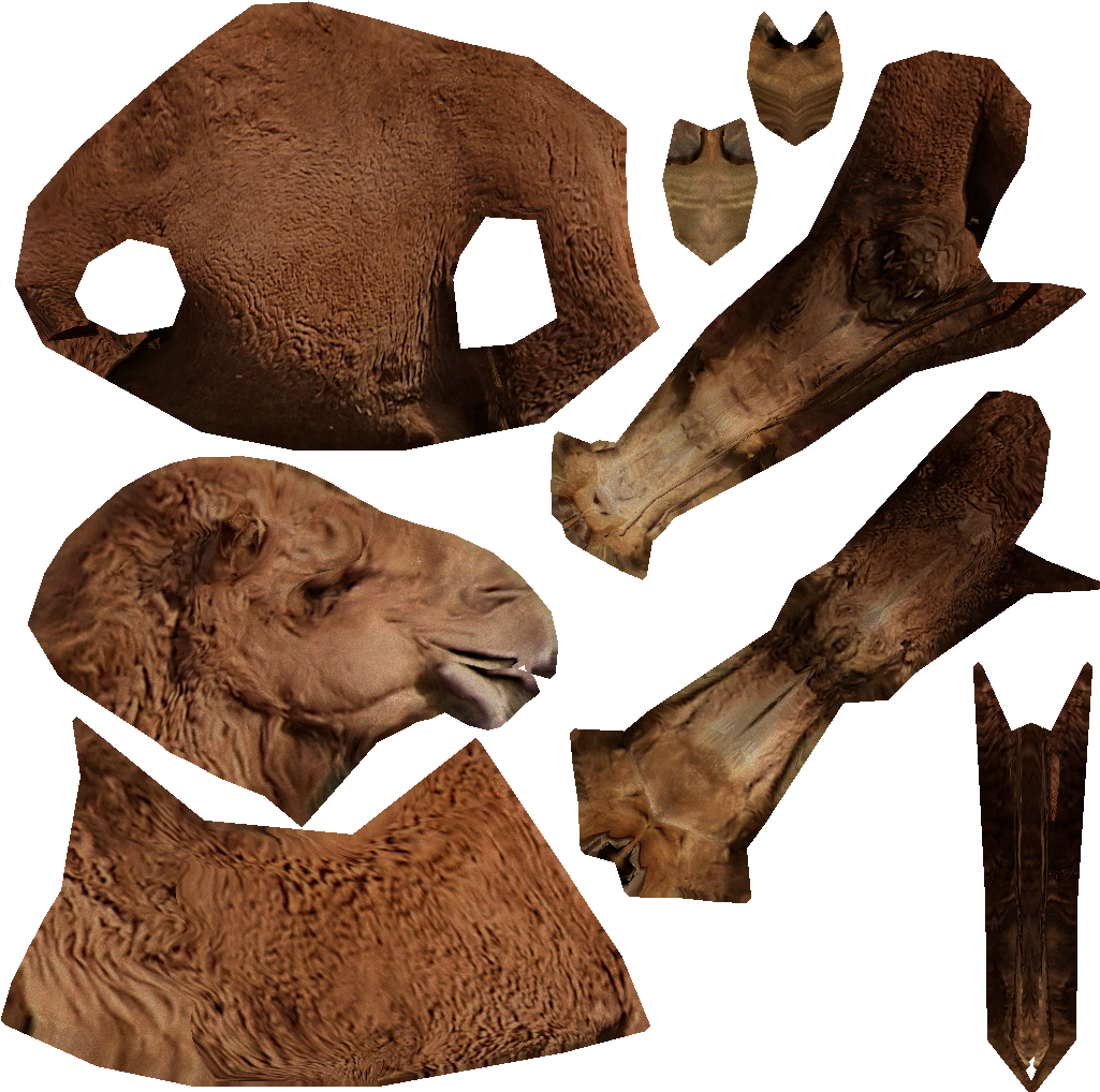 Camel - Thumb - - Masai Lion (1024x1024), Png Download