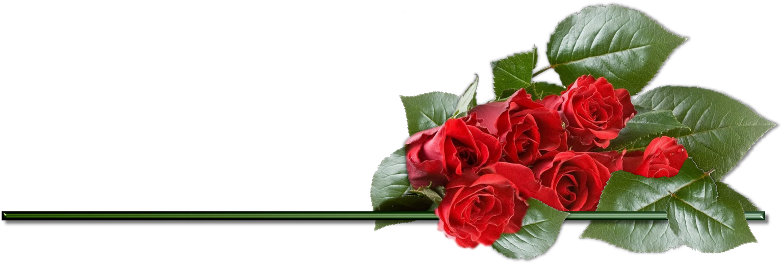 Clipart Rose Png - Happy Birthday Roses Png (1600x600), Png Download