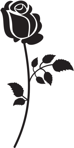 Svg Freeuse Rose Silhouette Png Clip Art Image - Rose Png Black And White (308x600), Png Download
