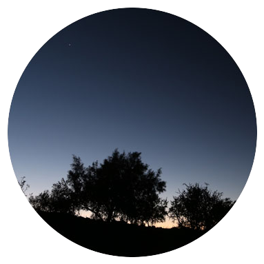 Circle Profile Picture Tumblr - Circle Profile Picture Tumblr Png (390x390), Png Download
