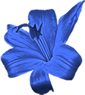 Blueflower - Small Blue Flower Png (400x400), Png Download