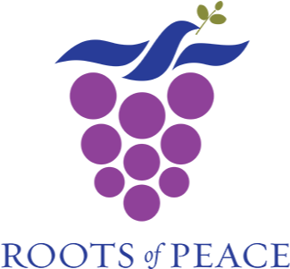 Logo Roots Of Peace - Seeds Of Peace (750x500), Png Download