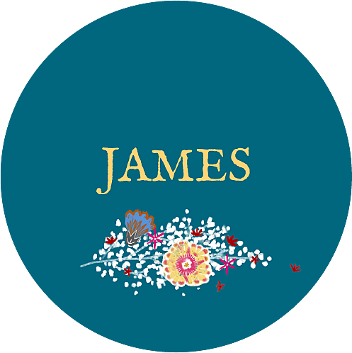 Baby Stickers Baby's Breath Blue - Tame (carter Kids #3) Ebook (497x498), Png Download