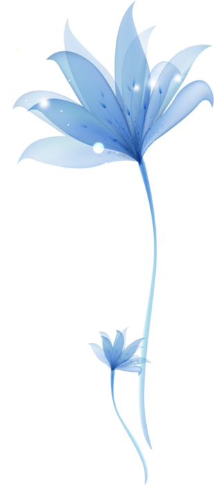 Decorative Blue Flower Png Transparent Ornament-0 - Transparent Decoration Flower Png (319x710), Png Download