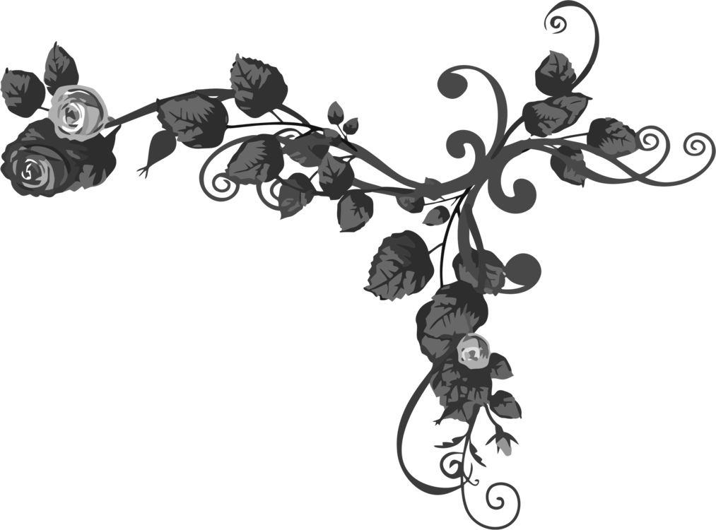 Black Rose Computer Icons Black And White - Rose Transparent Leaf Black And White (1013x750), Png Download