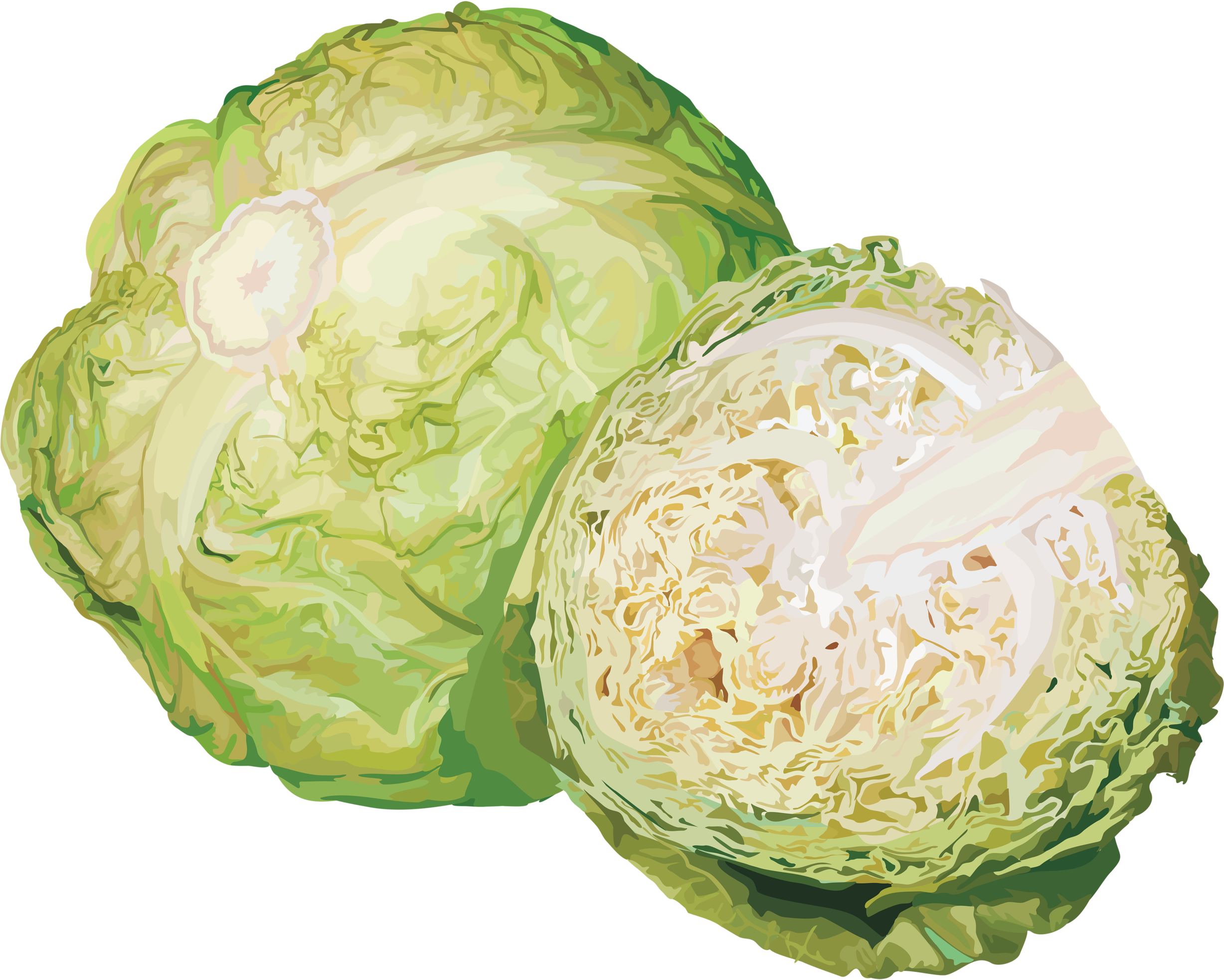 Яндекс - Фотки - Cabbage Transparent Background (2560x1986), Png Download