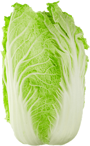 Vegetables - Chinese Cabbage Transparent (500x500), Png Download