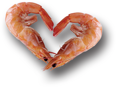 Farmer's Seafood Company Loves Seafood - Sea Food Png (461x358), Png Download