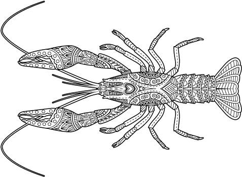 Roux The Day - Insect (500x395), Png Download