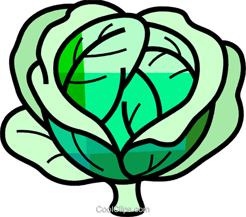Cabbage - Kohl Clipart (480x424), Png Download