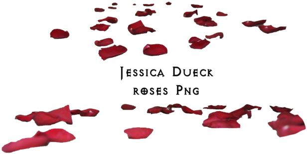 Roses Petals Png I By Starscoldnight - Rose Petals On Floor Png (634x350), Png Download