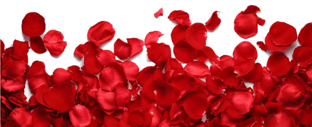 Rose Petals Png Transparent Image - Iphone 8 Plus Case,iphone 7 Plus Case, Luolnh Shockproof (1024x433), Png Download