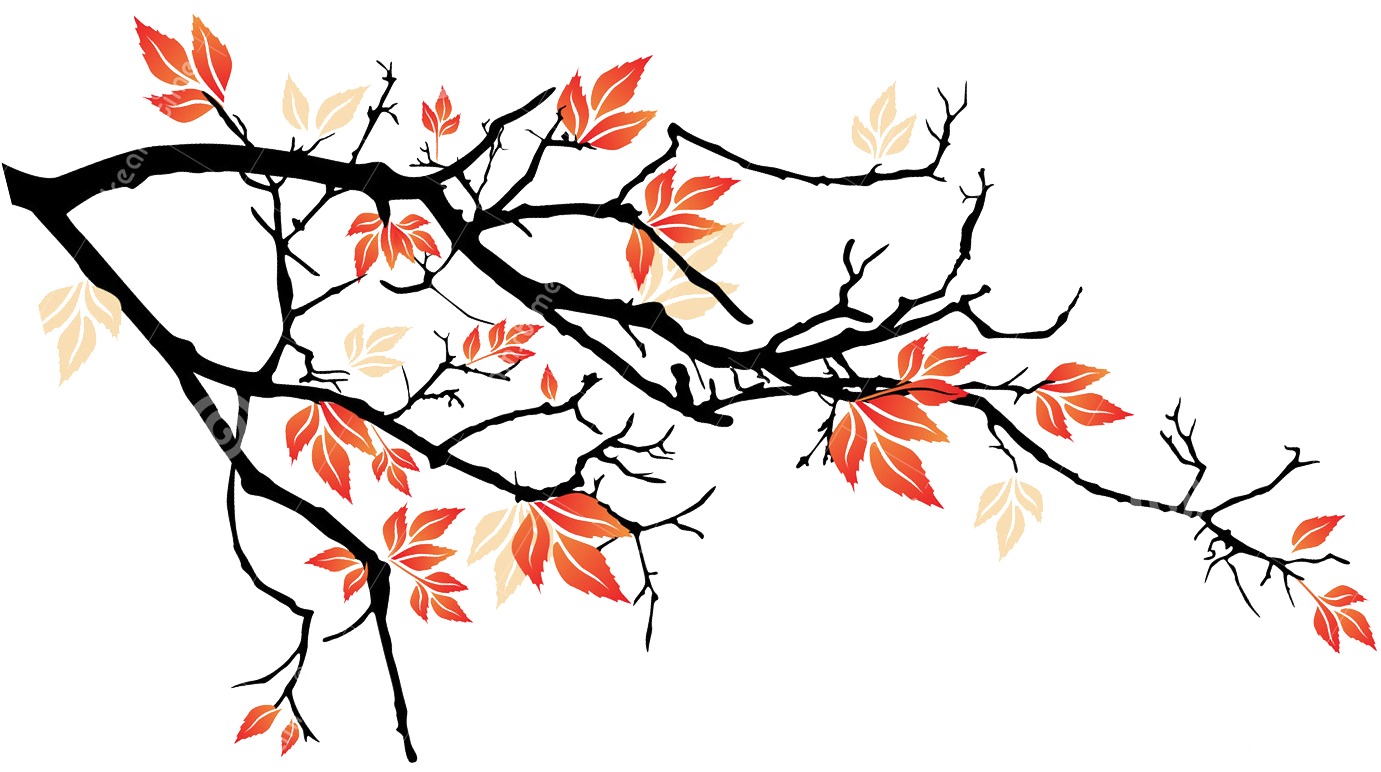 Free Rose Petals Falling Png - Siedle Ism 611-8/3-0 Dg Infoschild-modul (1427x771), Png Download