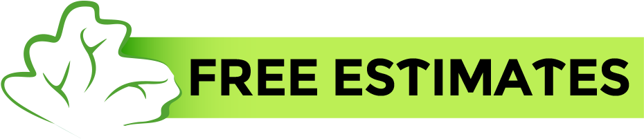 Estimates & Quotations - Free Shipping: Lgbt Rainbow Pride Button Pin - Lesbian (975x200), Png Download