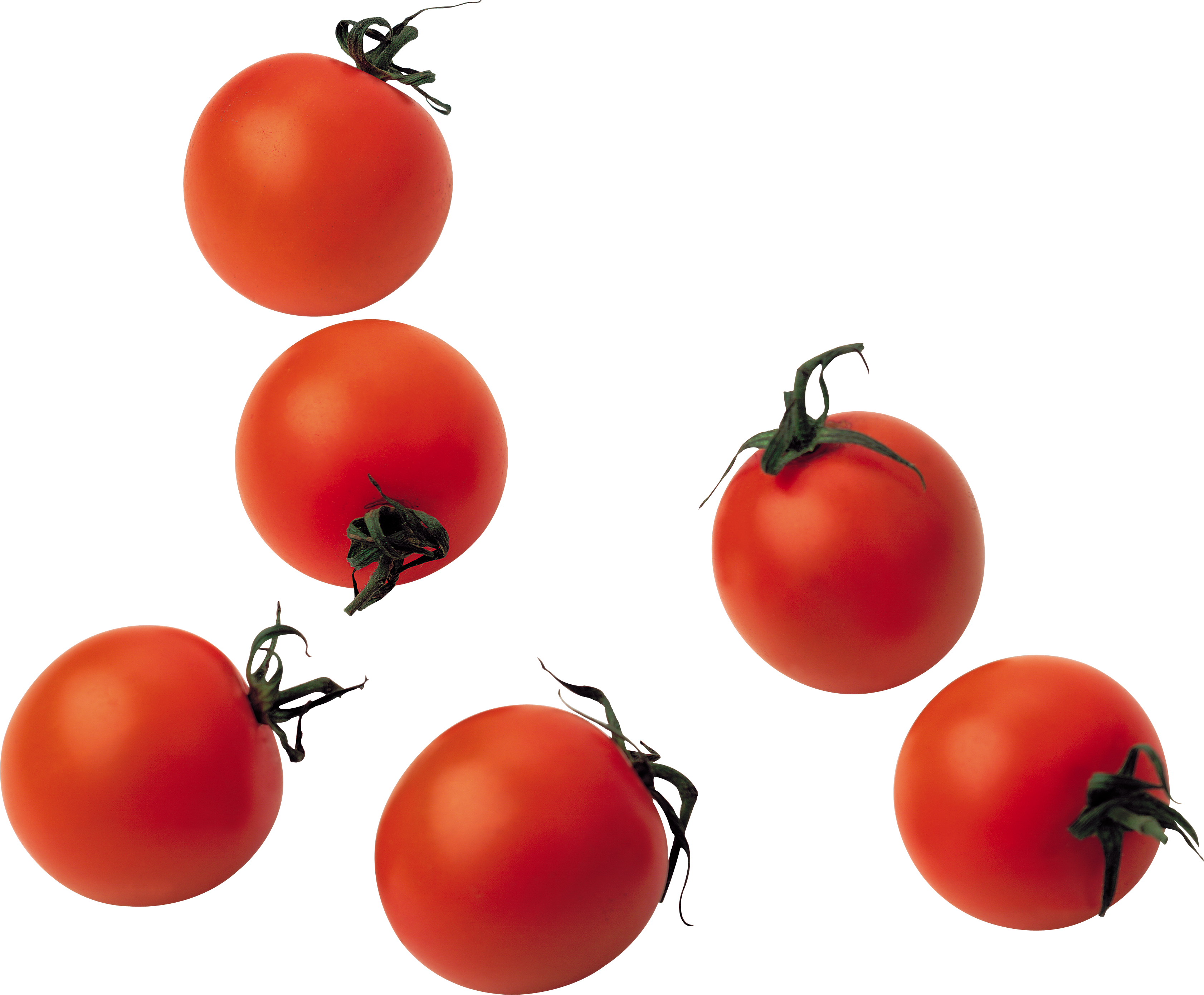 Red Tomatoes Png Image - Cherry Tomato Png (3365x2780), Png Download