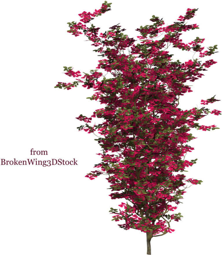 Png Image - Buganvilla Photoshop (894x894), Png Download