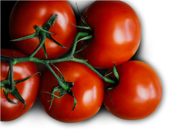 Plum Tomato (600x456), Png Download