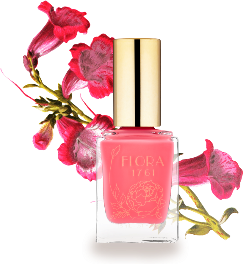 Nail Lacquer In Bougainvillea - Nail Polish (1024x922), Png Download